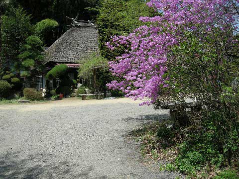 DSCN9661.jpg