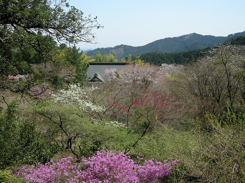 DSCN9670.jpg
