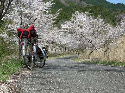 DSCN9684.jpg