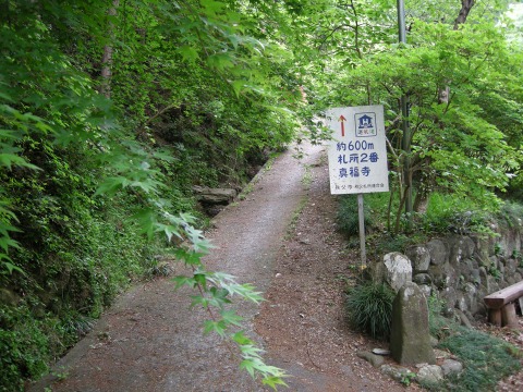 DSCN9755.jpg