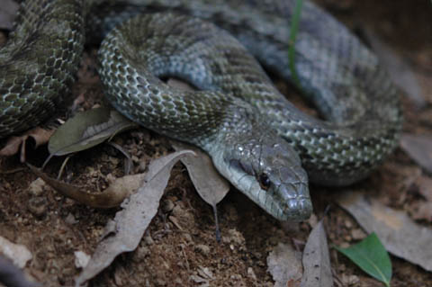 DSC_0028PSE.jpg