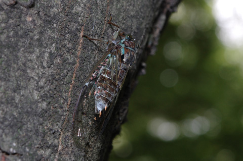DSC_0065PSE.jpg