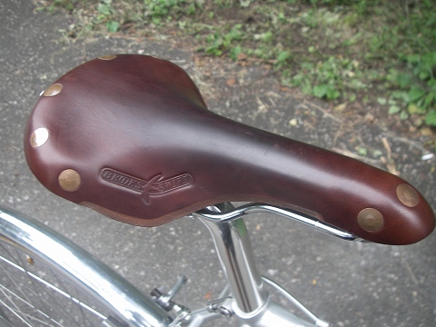 IMGP0154.jpg